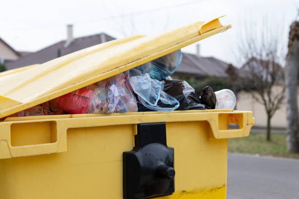 Best Recycling Services for Junk  in Dry Ridge, OH